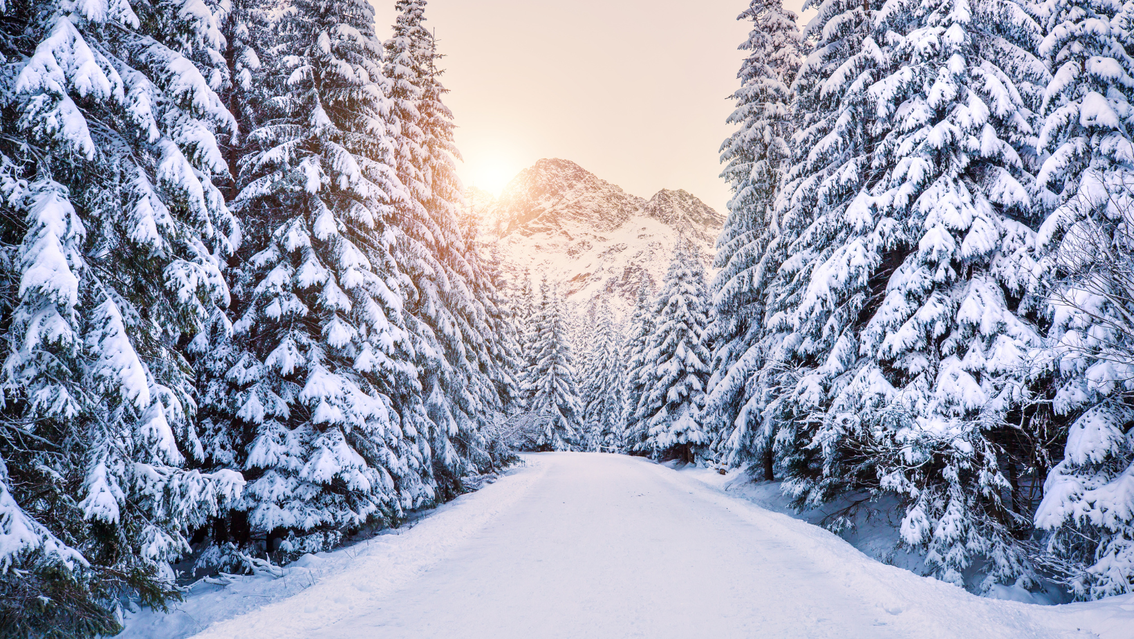Duftkerzen Winter