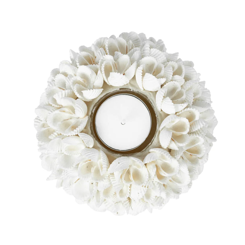 Candle holder shell L