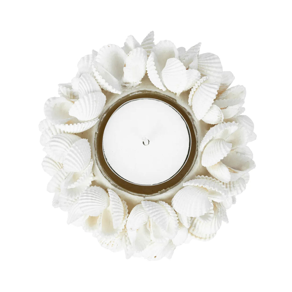 Candle holder shell S