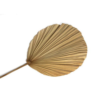 Deko Objekt Rayung Blatt 4er Set
