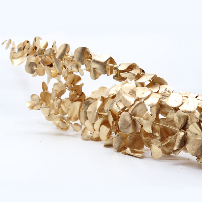 Eukalyptus Bund Gold / Warm Gold ca. 5 Stk.