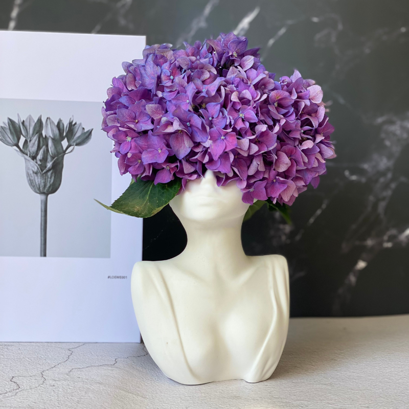 Vase Anthelia