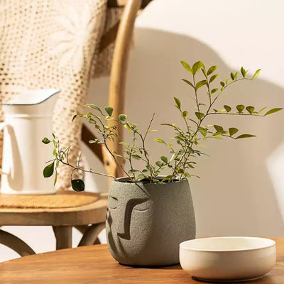 Vase Nagual