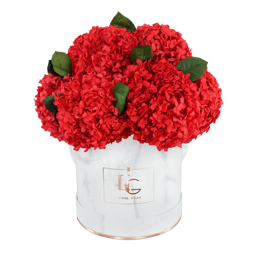 Blumenbox Signature Hydrangea Infinity Rosebox | Vibrant Red Emmie Gray