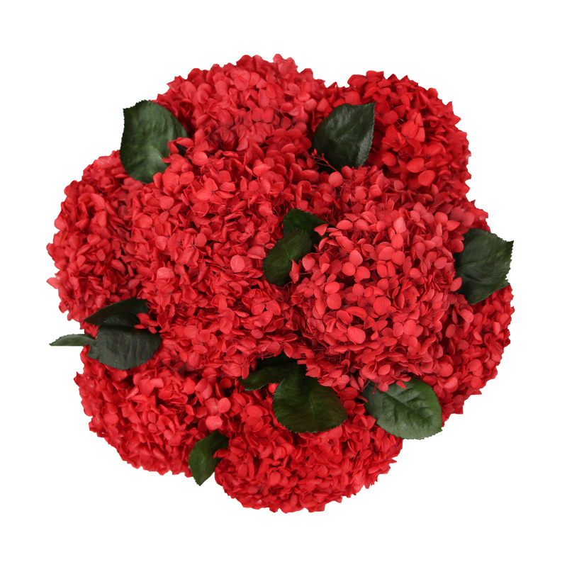 Blumenbox Signature Hydrangea Infinity Rosebox | Vibrant Red Emmie Gray